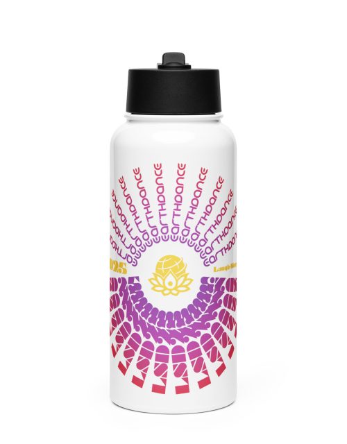 LSD Stainless Steel Water Bottle